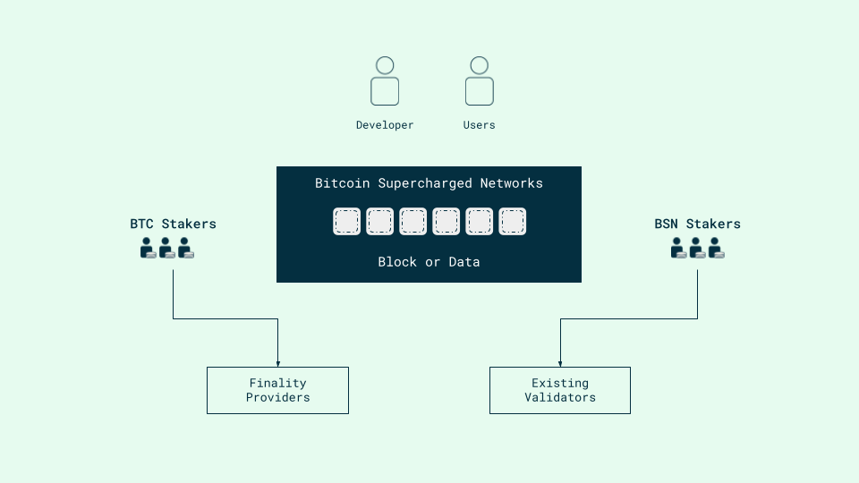 Overview of BSNs