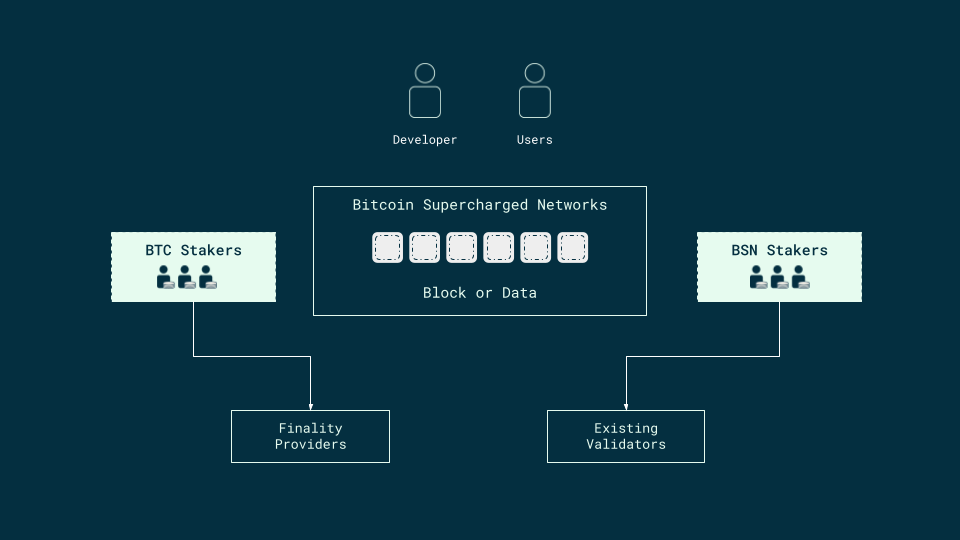 Overview of BSNs